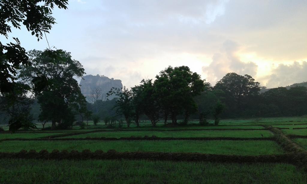 Sigiri Leisure Holiday Home Sigiriya Esterno foto